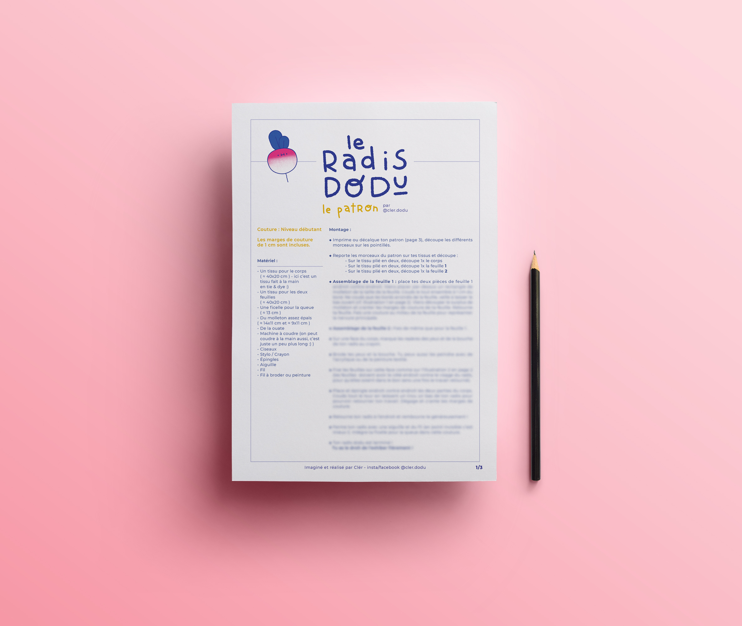 VISUEL_PDF_RADIS